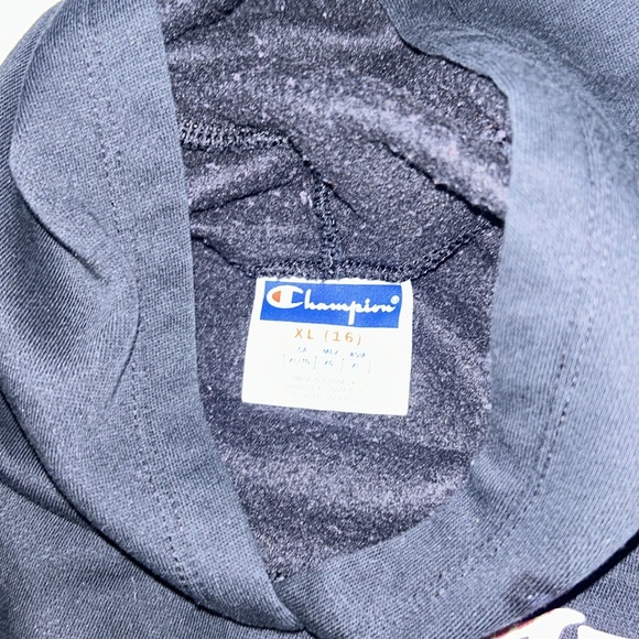 Girl’s Champion Hoody - Picture 2 of 3